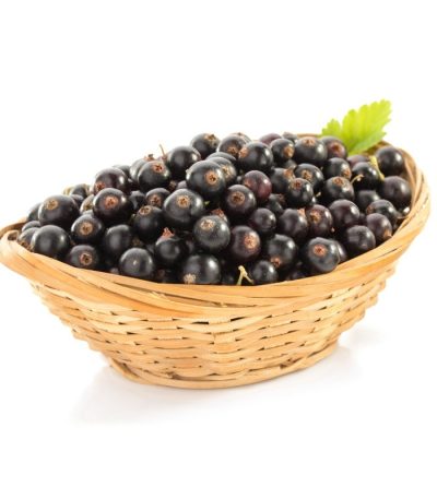 Sugestie de prezentare pentru Coacăze negre